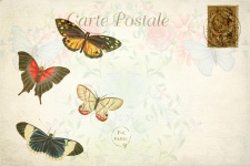 Butterfly Floral Vintage Postcard