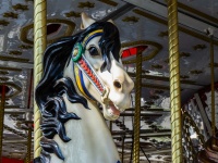 Carnival Carousel Horse