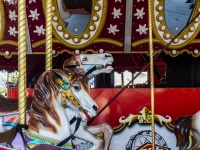 Carnival Carousel Horses