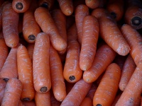 Carrots In A Box