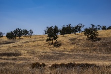 Central California Landscape