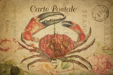 Crab Vintage Postcard