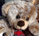 Cuddly Toy Bear With Tartan Scarf