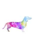 Dachshund Dog Watercolor Painting
