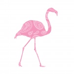 Flamingo Pink Decorative Clipart