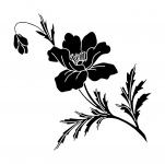 Flower Illustration Clipart