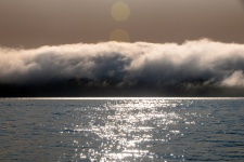 Fog Over The Bay