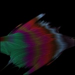 Fractal Feather