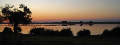 Glowing Sunset Over Chobe River