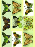 Green Butterflies Collage Sheet