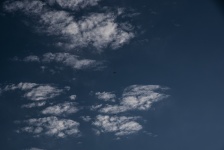 Hawks In Clouds