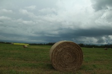 Hay Bale On A Farmer's Field
