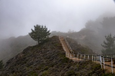 Hilltop Stairs In Fog