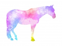 Horse Watercolor Painting Colorful