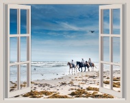 Horses On Beach Window