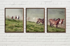 Horses Wall Art Triptych