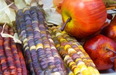 Indian Corn And Apples