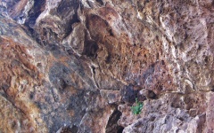 Irregular Rock Surface Inside Cave