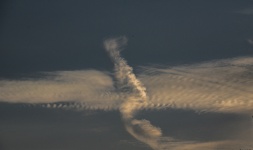 Mark Of Zorro Cloud Shape