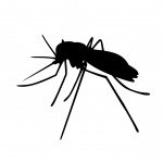 Mosquito , Insects, Silhouette