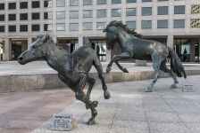 Mustang Sculpture