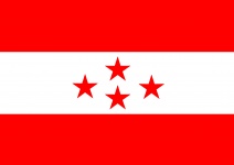 Nepali Congress Flag