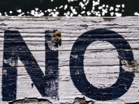 No Sign On Wood Rail