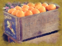 Old Orange Crate