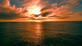 Orange Ocean Sunset