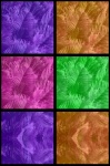 Ostrich Feathers Background