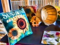Painted Pillows And Basket