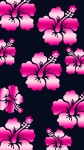 Pink Hibiscus Cel Wallpaper