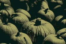 Pumpkins Etched In Green