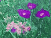 Purple Flowers Oil Painting