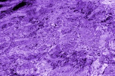Purple Swirls Abstract Background