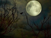 Raven And Full Moon