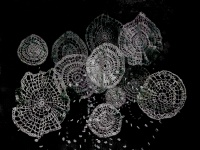 Recycled Plastic Doilies