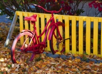 Red Bike In The Fall
