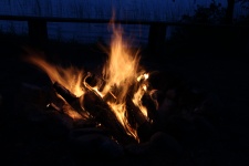 Roaring Wood Camp Fire