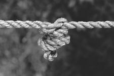 Rope, Knot