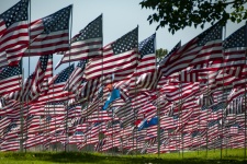 Rows Of American Flags