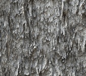 Shredded Paper Wall Background