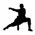 Silhouette, Kung Fu, Wushu, Shaolin