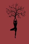 Silhouette, Women, Tree, Yoga