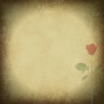 Single Red Rose Vintage Paper