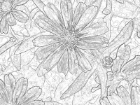 Sketched Black White Flowers