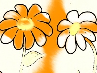 Sketched Flowers