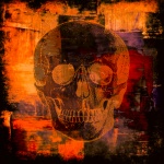 Skull Grunge Background