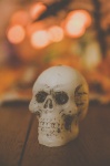 Skull Halloween Decoration