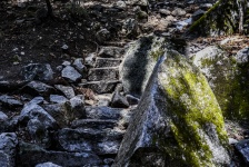 Stone Stairs In Forest